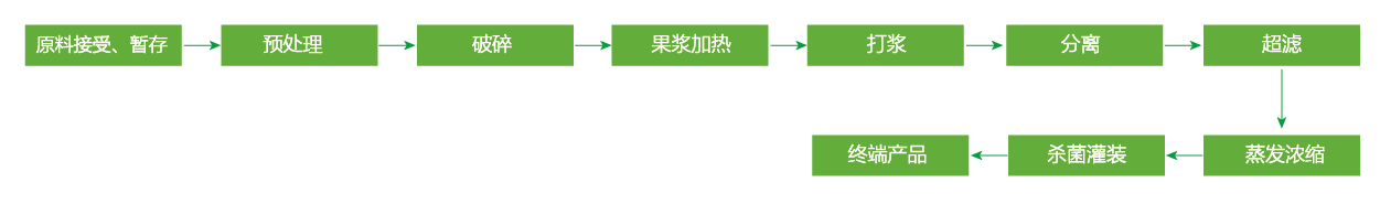 藍(lán)莓、草莓、桑葚濃縮汁